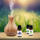 Aromatherapy essential oil gift box