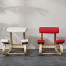 Human Physiology Health Care Kneeling Chair