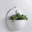 Hanging Plastic Flower Pot