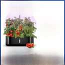 Intelligent Hydroponic Plant Growth Light
