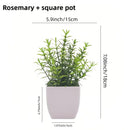 Simulation of small potted plants