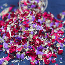 Dried petals confetti wedding party decoration flower spreading