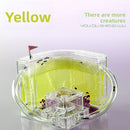 Mini Ant World Interactive Habitat Toy