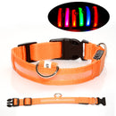 USB Rechargeable LED Dog Collar with Adjustable Sizes
