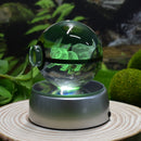 Night Light Decoration