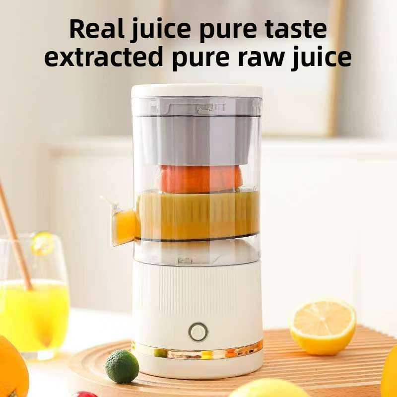 household juicer