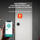 Bedroom Smart Ball Lock Graffiti APP Office Apartment Password Lock Indoor Wooden Door Fingerprint Lock