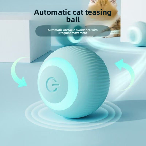 pet toy ball