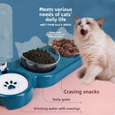 Cat Bowl Automatic Drinking and Feeding Basin