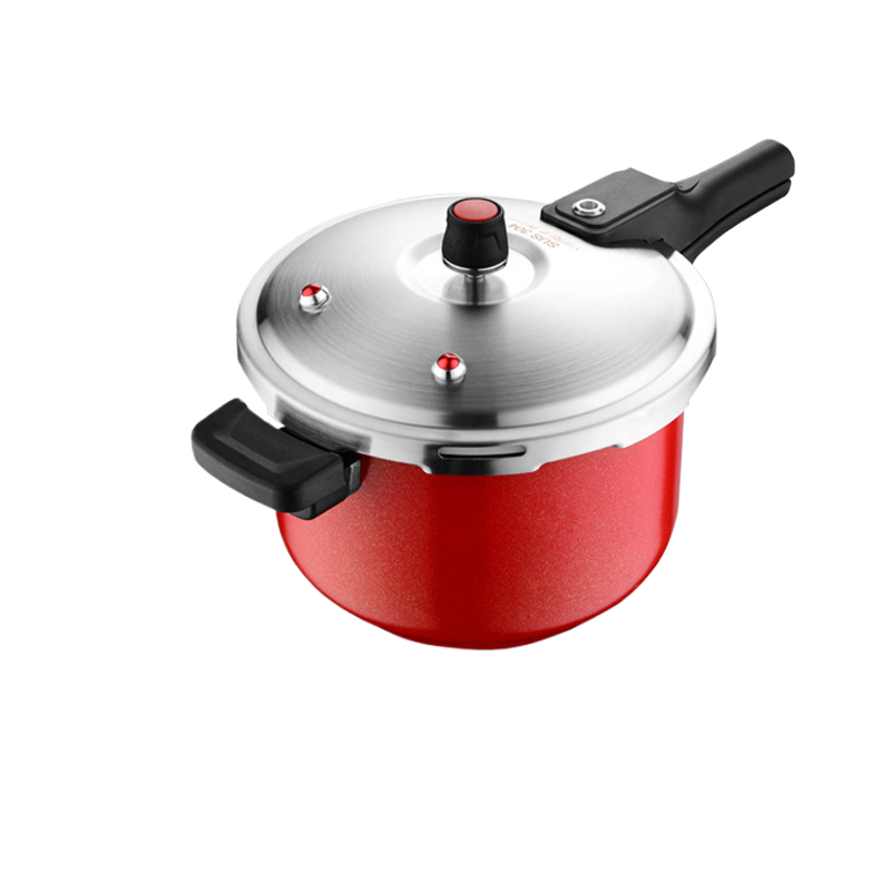 Stainless steel pressure cooker
