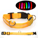 USB Rechargeable LED Dog Collar with Adjustable Sizes