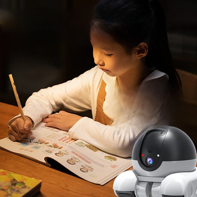 Dual-lens dual-screen monitoring