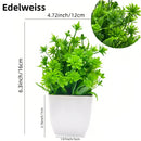 Simulation of small potted plants