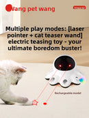 Electric Cat Toy