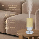 Essential Oil Aromatherapy Humidifier