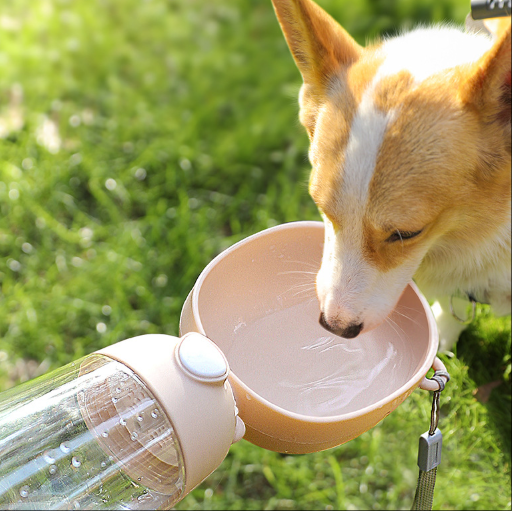 Portable Dog Water Bottle ? Travel Bowl & Food Container for Pets