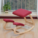 Human Physiology Health Care Kneeling Chair
