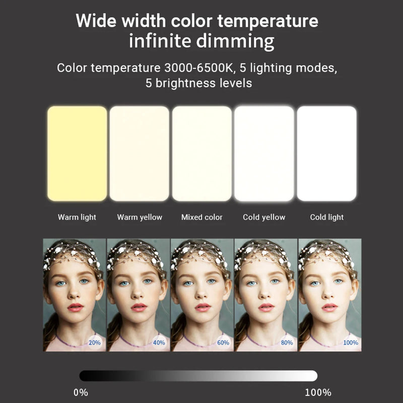 Mobile phone fill light 5 color temperature mini portable live video conference fill light - TrendTrove