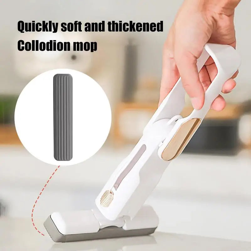 Mini Squeeze Mop Small Cleaning Mop Handheld Kitchen Desk Bathroom Window Glass Sponge Wet And Dry Use Mop For Desktop Car Glass - TrendTrove
