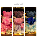 Valentine's Day Gift Everlasting Flower Bear Moss Glass Cover Finished Gift Box for Girlfriend Birthday Ornament Dried Flowers Roses - TrendTrove