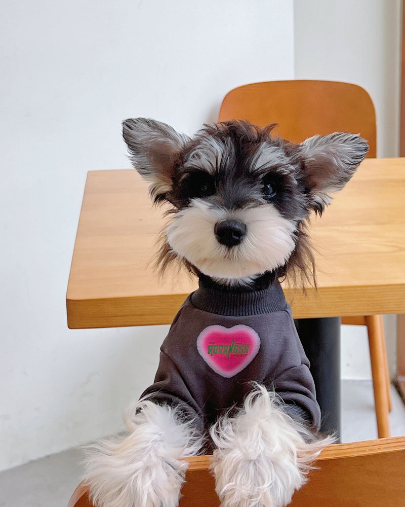 Gray round-Collar Heart Fleece-lined Pure Cotton Sweatshirt Cat