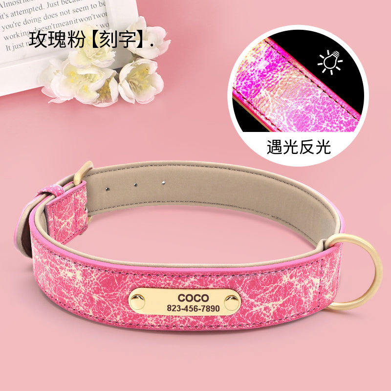 Medium-Sized Dog Jarre Aero Bull Corgi Double Layer Anti-Strangulation Dog Collar