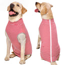 Dog Sterilization Surgical Gown Autumn Golden Retriever Labrador Medium Large Dog after Operation Anti-Licking Clothes Pet Four-Legged Vest