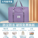 Portable Short-Distance Travel Bag with Trolley Case