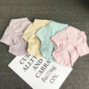 Teddy Cotton Striped Pocket Base Shirt Bichon Pet