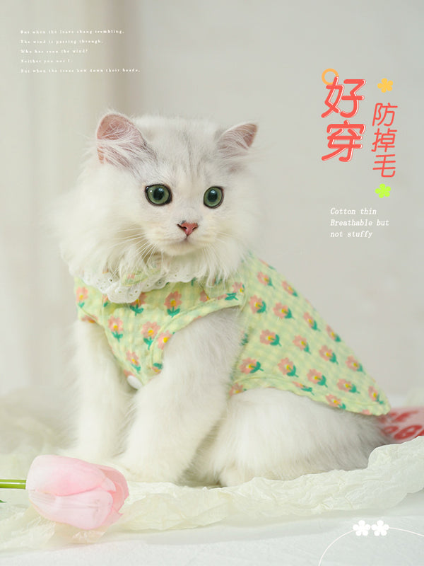Cat Clothes Summer Pet Kitten Silver Gradual Layer Cat Thin British Shorthair Blue Cat Summer Sleeveless Cute Kittens Vest