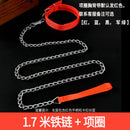 Iron Chain Teddy/Golden Retriever Medium Collar Dog Hand Holding Rope
