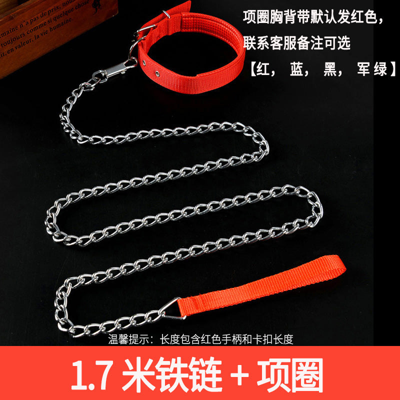 Iron Chain Teddy/Golden Retriever Medium Collar Dog Hand Holding Rope