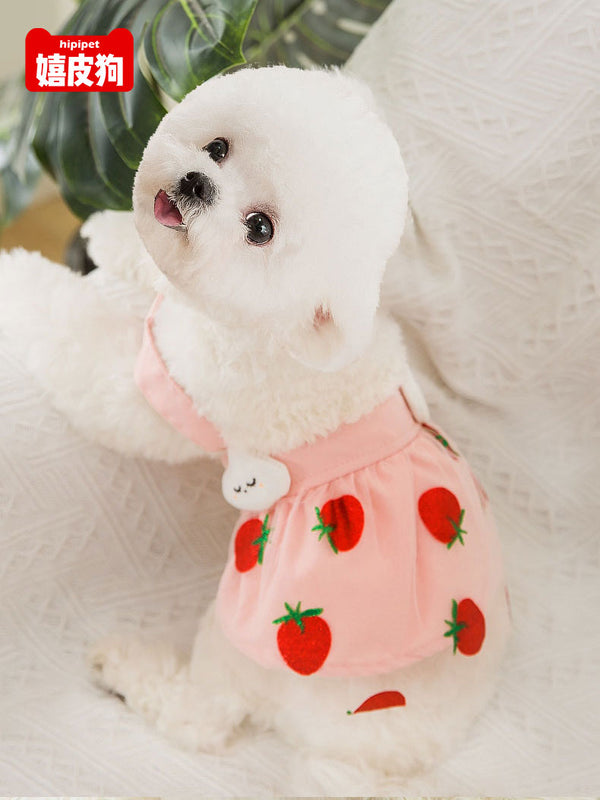 Strawberry Dog Clothes Summer Thin Teddy Bichon Pomeranian Schnauzer Pet Small Size Dogs Princess Skirt Summer