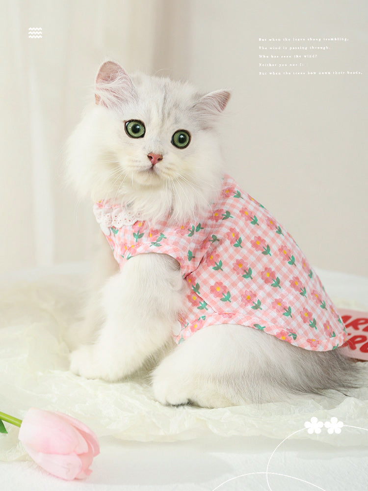 Cat Clothes Summer Pet Kitten Silver Gradual Layer Cat Thin British Shorthair Blue Cat Summer Sleeveless Cute Kittens Vest