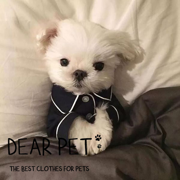 Dog Clothes Summer Thin Cat Anti-Lint Cat Clothes Net Red Kitten Cute Cat Pajamas Autumn Clothes