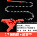 Iron Chain Teddy/Golden Retriever Medium Collar Dog Hand Holding Rope