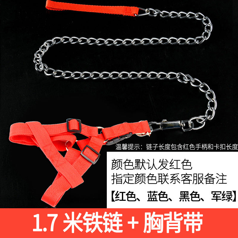 Iron Chain Teddy/Golden Retriever Medium Collar Dog Hand Holding Rope