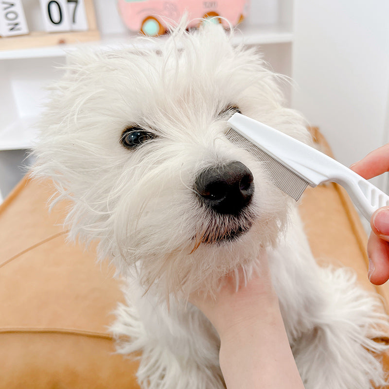 Mini CAT Combed Lice Dog
