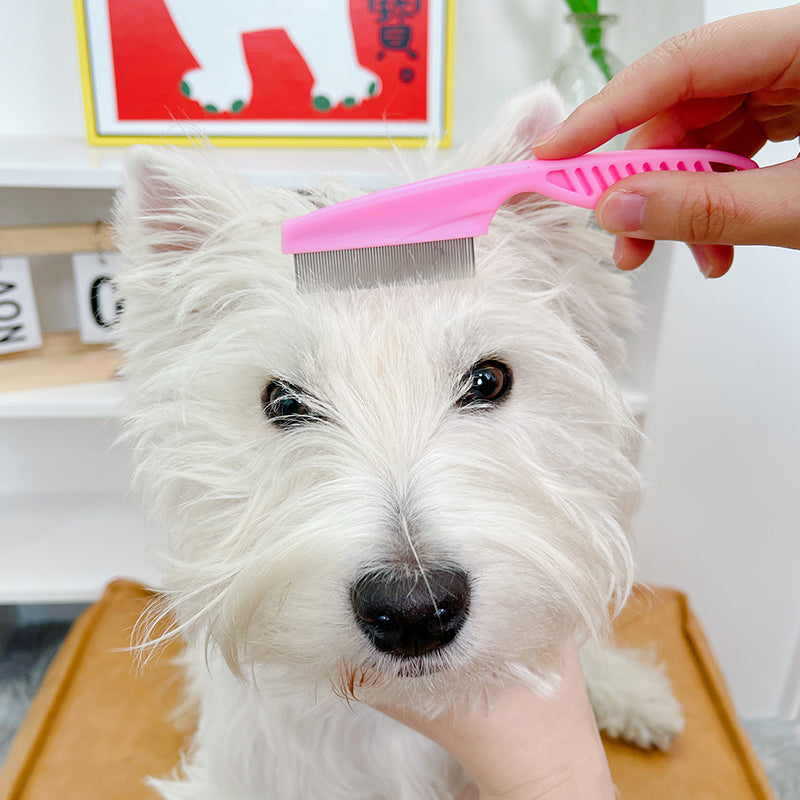 Mini CAT Combed Lice Dog