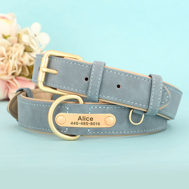 Medium-Sized Dog Jarre Aero Bull Corgi Double Layer Anti-Strangulation Dog Collar