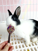 Rabbit Molar Lollipop Petal Molar Straw Ball Grass Cake Rabbit Guinea Pig Totoro Apple Branch Bite Wood Grinding Stick