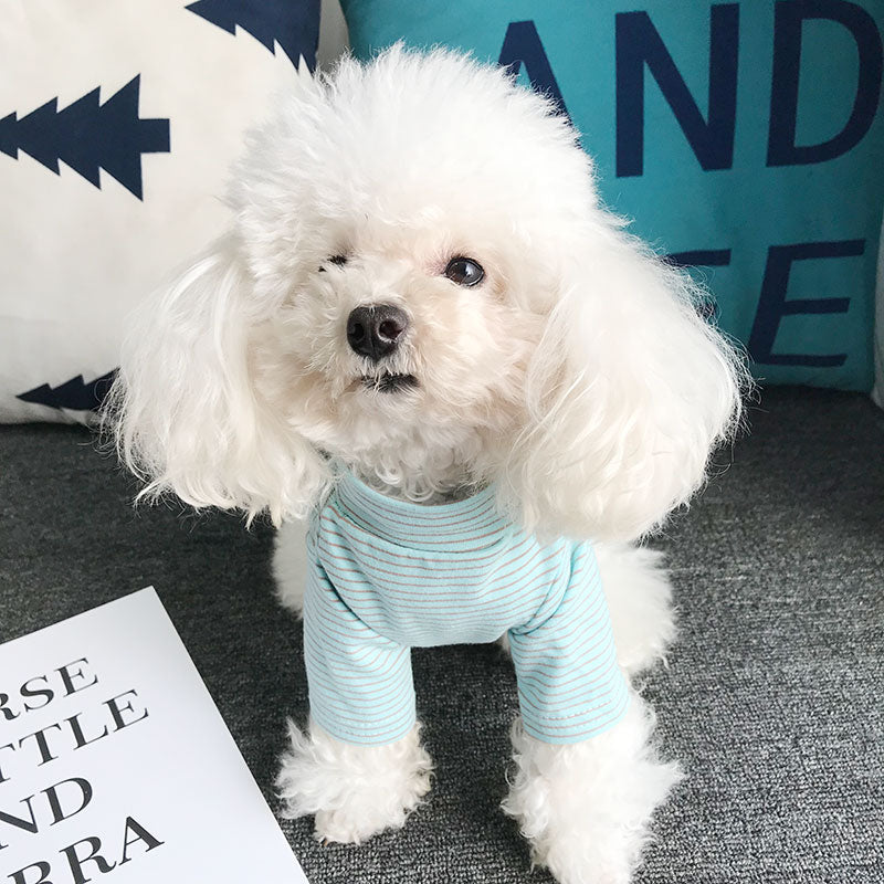 Teddy Cotton Striped Pocket Base Shirt Bichon Pet