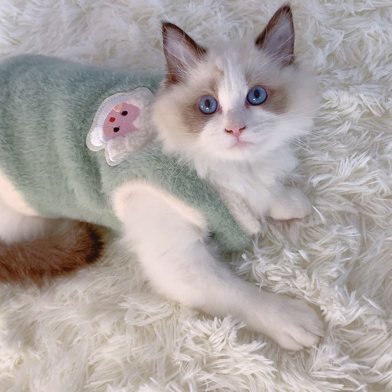 Dog Cat Clothes 2024 New Arrival Anti-Lint Teddy British Shorthair Blue Cat Kitten Small Puppies Warm Autumn and Winter Clothes
