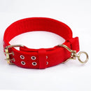 Dog Collar Medium-Sized Dog Dog Chain Bandana Hand Holding Rope Large Dog Small Size Dogs Dog Leash Bold Dog Collar Solid