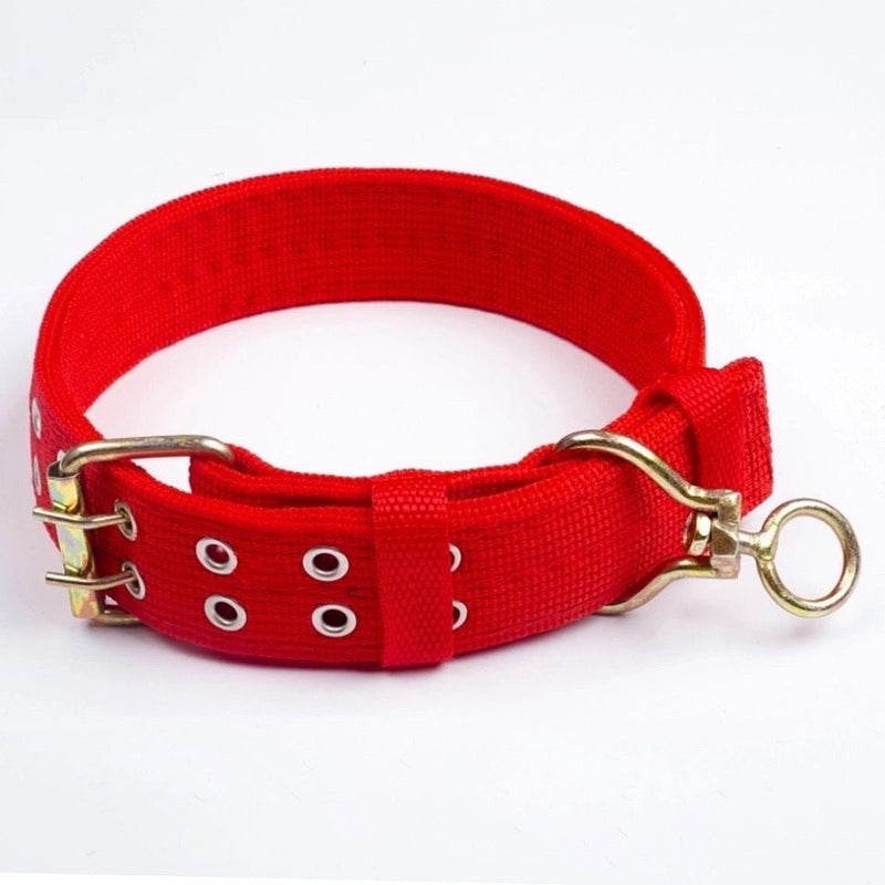 Dog Collar Medium-Sized Dog Dog Chain Bandana Hand Holding Rope Large Dog Small Size Dogs Dog Leash Bold Dog Collar Solid