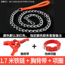 Iron Chain Teddy/Golden Retriever Medium Collar Dog Hand Holding Rope