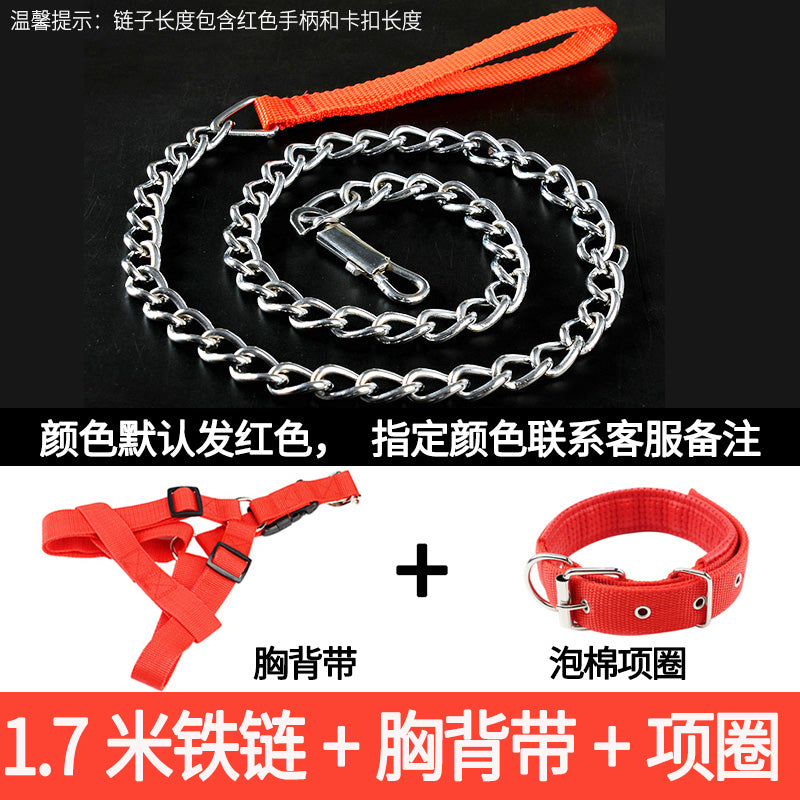 Iron Chain Teddy/Golden Retriever Medium Collar Dog Hand Holding Rope