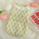 Cat Clothes Summer Pet Kitten Silver Gradual Layer Cat Thin British Shorthair Blue Cat Summer Sleeveless Cute Kittens Vest