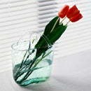 Bag Living Room Ins Glass Fish Globe Handbag