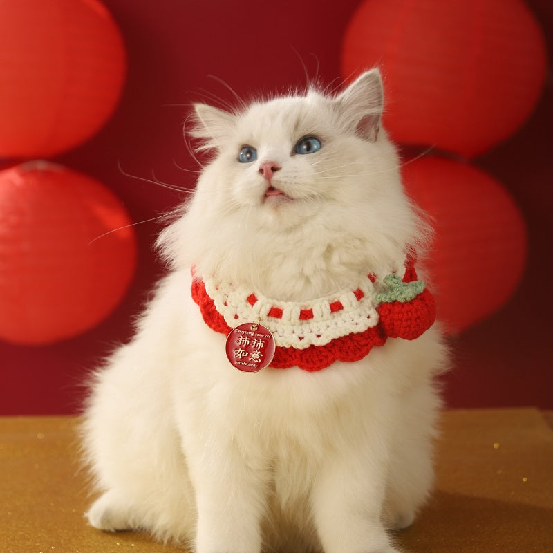 Halloween Accessories Dress up Hat Pet Collar